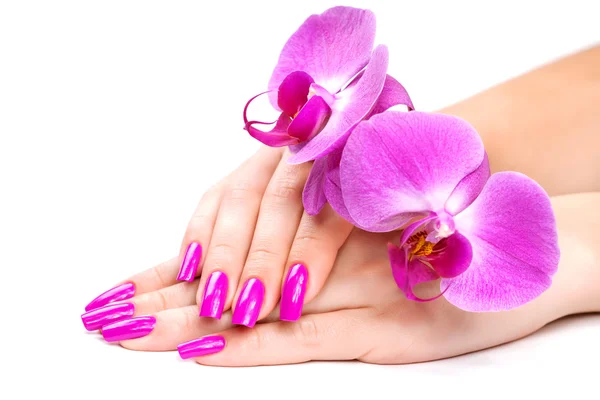 Weibliche Hände mit Orchideenblume — Stockfoto