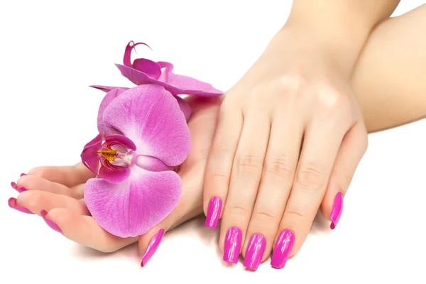 Female hands with pink orchid flower — Stock Photo, Image