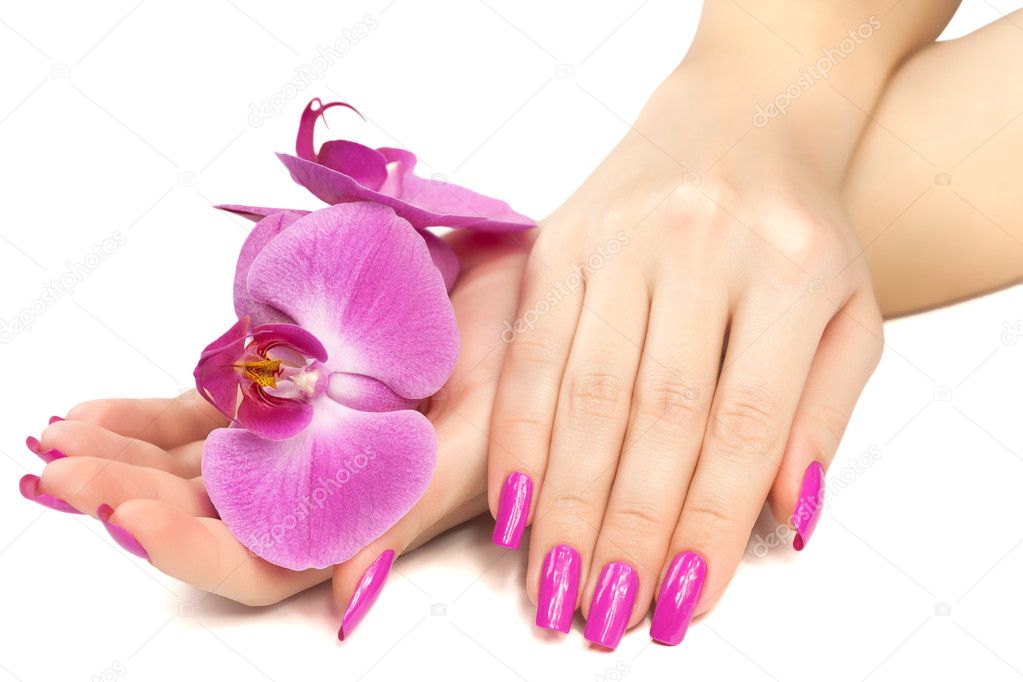female hands with pink orchid flower