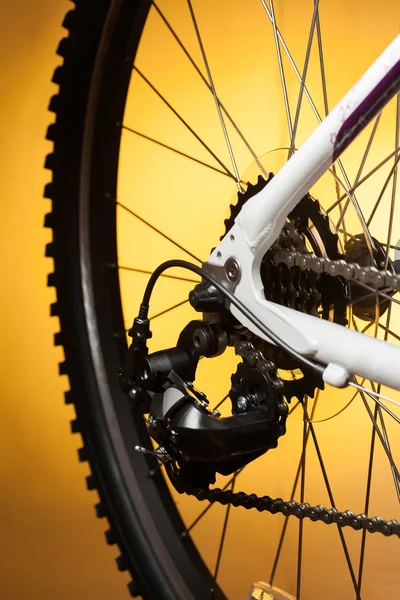 Rear bike cassette on the wheel with chain — Stock Photo, Image