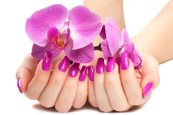 Kvinnliga händer med pink orchid — Stockfoto