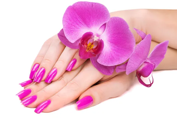 Mãos com orquídea rosa — Fotografia de Stock