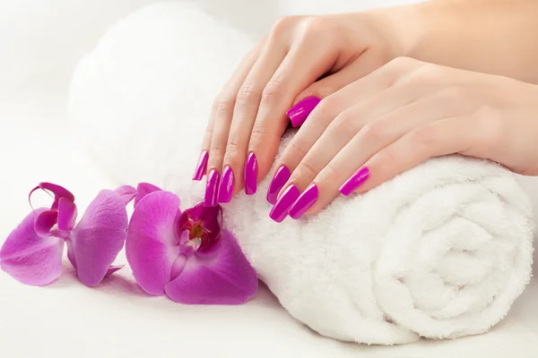 Bella manicure con orchidea rosa — Foto Stock