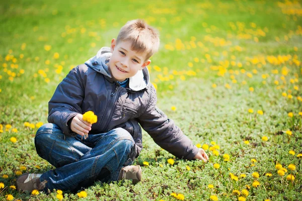 Αγόρι με πικραλίδες, σε ένα καταπράσινο πάρκο. καλοκαίρι — Φωτογραφία Αρχείου