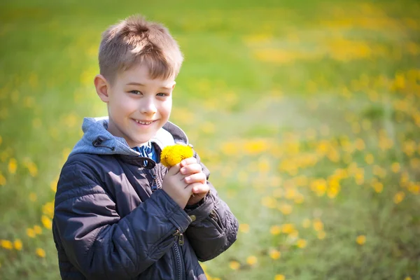 Snålt med maskrosor i en grön park. sommar — Stockfoto