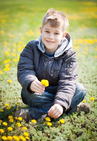 Boldog fiú pitypang zöld parkban. nyári — Stock Fotó