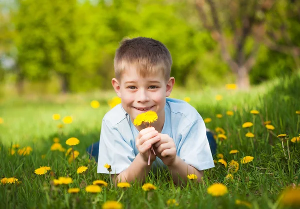 Χαριτωμένο αγόρι με πικραλίδες, σε ένα καταπράσινο πάρκο. καλοκαίρι — Φωτογραφία Αρχείου