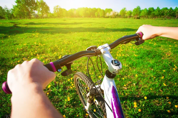 Rowerzysta w zielonym polu na rowerze. podróż — Zdjęcie stockowe