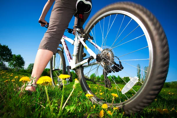 Meisje op een fiets — Stockfoto