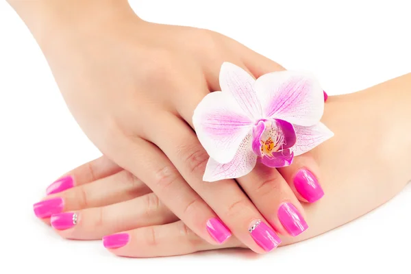 Manicure com flor do orchid. isolado — Fotografia de Stock