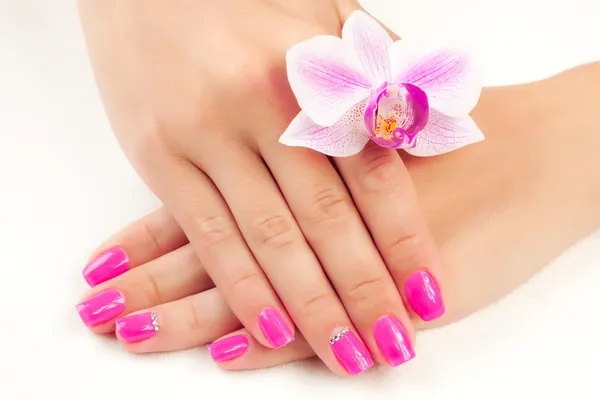 Manicure with orchid flower. isolated — Stock Photo, Image