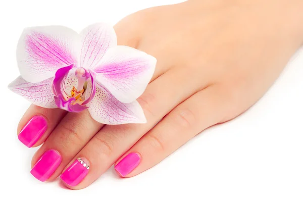 Manicure z orchidea kwiat. na białym tle — Zdjęcie stockowe