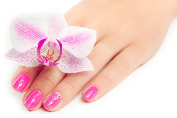 Manicure with orchid flower. isolated — Stock Photo, Image