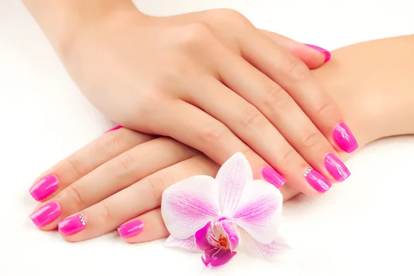 Manicure met orchideebloem. geïsoleerd — Stockfoto