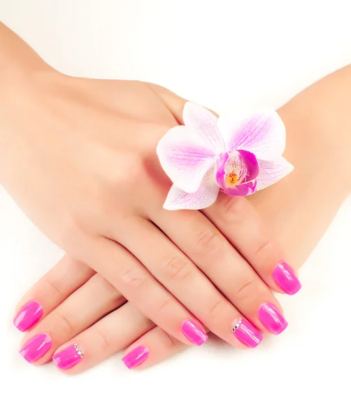 Różowy manicure z orchidea kwiat. na białym tle — Zdjęcie stockowe