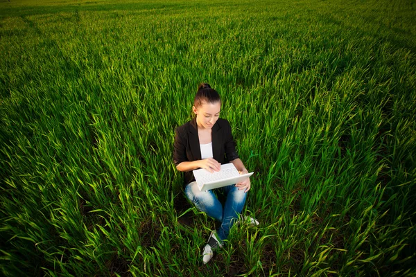Zavartan nő a zöld mezőben a laptop. nyári — Stock Fotó