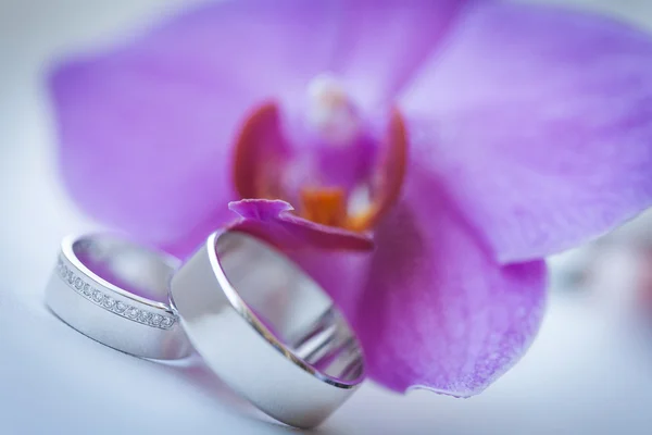 Krásné snubní prsteny — Stock fotografie
