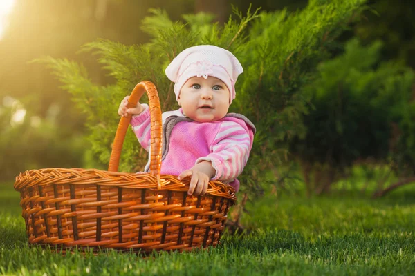 Nice baby in basket in the green park — Stock Photo, Image