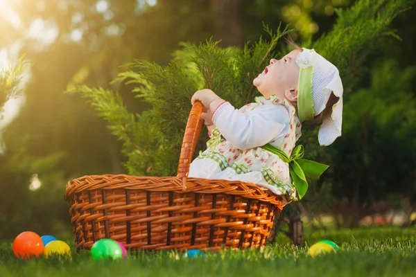 Bebê engraçado na cesta no parque verde — Fotografia de Stock