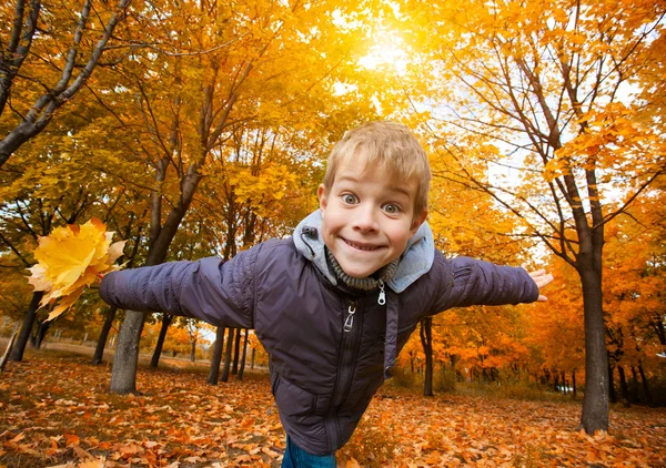 Bambino allegro su uno sfondo di cielo e alberi di autunno — Foto Stock