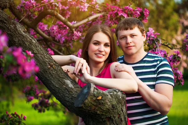 Happy loving couple are hugging blossoming apple orchard — Stock Photo, Image