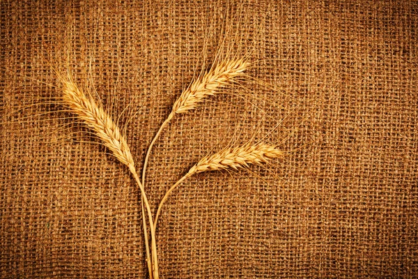 Orecchie di grano su sfondo iuta — Foto Stock