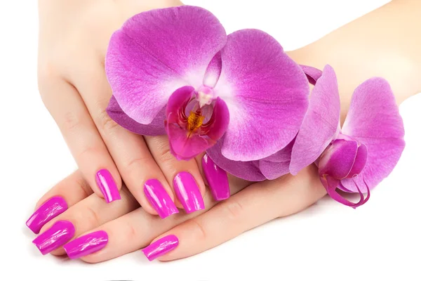 Hands with pink orchid. isolated — Stock Photo, Image