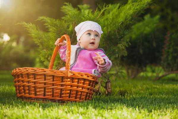 Roztomilé dítě v košíku v zeleném parku — Stock fotografie