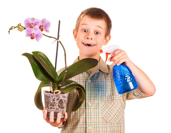 Menino está regando as flores — Fotografia de Stock