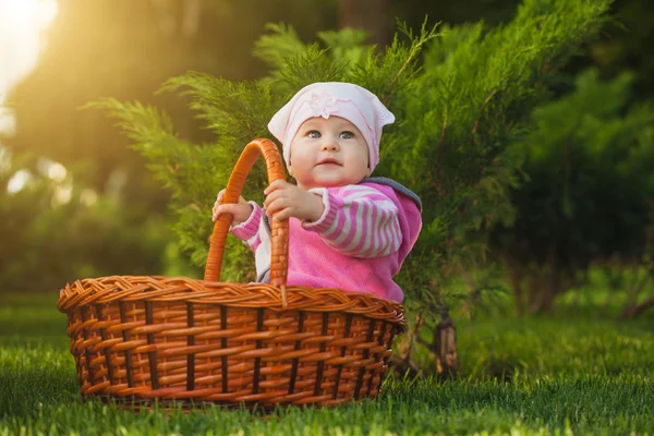 Cute baby in basket in the green park — Stock Photo, Image