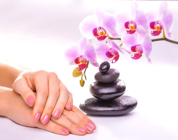 Bella manicure con orchidea rosa sul bianco — Foto Stock