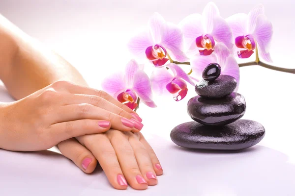Piękny manicure z różowy storczyk na biały — Zdjęcie stockowe
