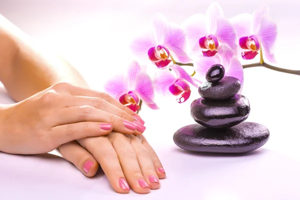 Beautiful manicure with pink orchid on the white — Stock Photo, Image