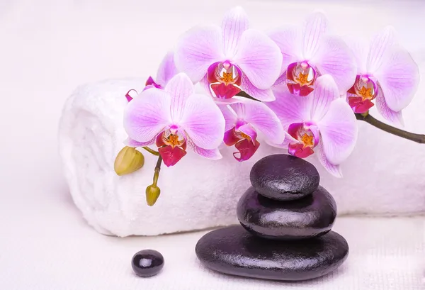 Bela manicure com orquídea rosa no branco — Fotografia de Stock