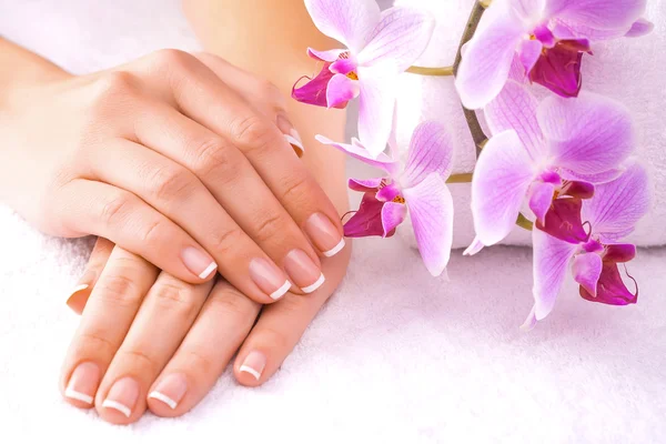 Bella manicure con orchidea rosa sul bianco — Foto Stock