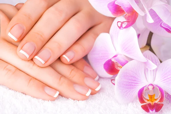 Bella manicure con orchidea rosa sul bianco — Foto Stock