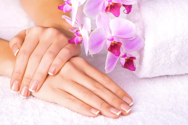 Bela manicure com orquídea rosa no branco — Fotografia de Stock