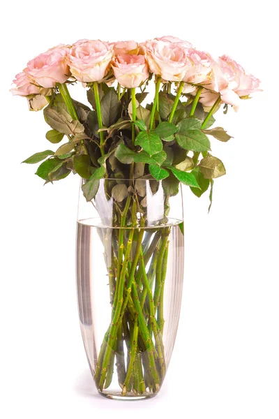 Μπουκέτο ροζ τριαντάφυλλα σε λευκό φόντο — Φωτογραφία Αρχείου