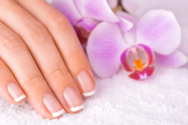 Bela manicure com orquídea rosa no branco — Fotografia de Stock