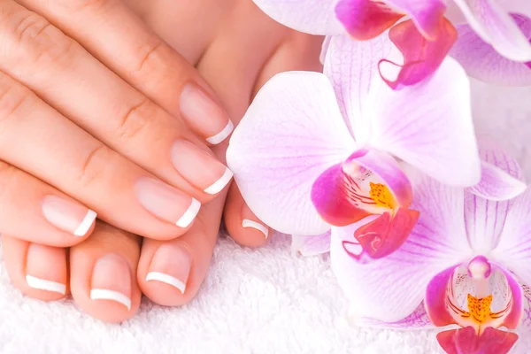 Manicure francês com orquídea rosa no branco — Fotografia de Stock