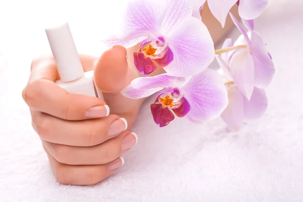 Bela manicure com orquídea rosa no branco — Fotografia de Stock