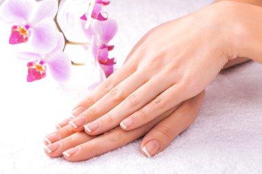 beyaz üzerine pembe orkide ile manikür Fransız