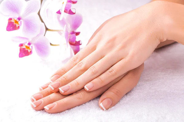 Manicure francês com orquídea rosa no branco — Fotografia de Stock