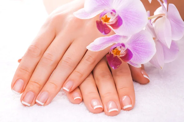 French manicure with pink orchid on the white Royalty Free Stock Photos