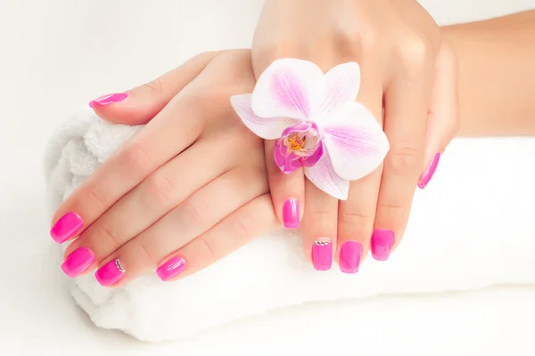 Bella manicure con orchidea rosa sul bianco Immagini Stock Royalty Free