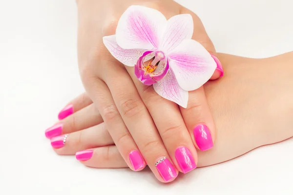 Pink manicure on white — Stock Photo, Image