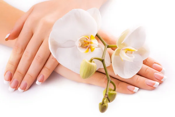 Beautiful french manicure with white orchid on white — Stock Photo, Image