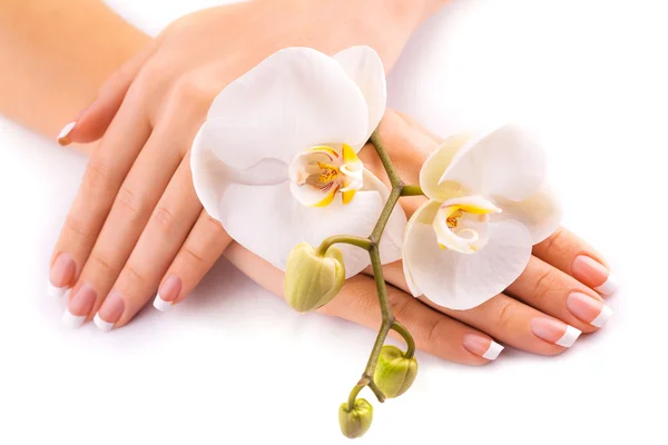 Hermosa manicura francesa con orquídea blanca sobre blanco —  Fotos de Stock