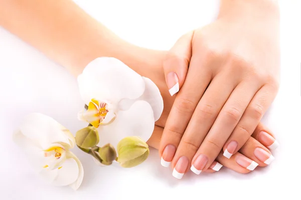 Bella manicure francese con orchidea bianca su bianco — Foto Stock