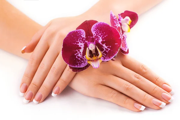 Hermosa manicura francesa con orquídea rosa sobre blanco — Foto de Stock